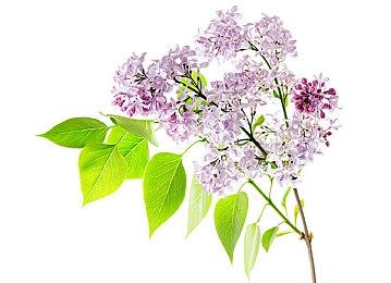 《我的世界》联动环球影城 带来金刚ET等角色